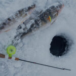 Two fish and ice fishing rod by hole
