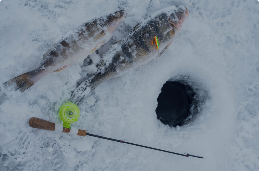 Two fish and ice fishing rod by hole