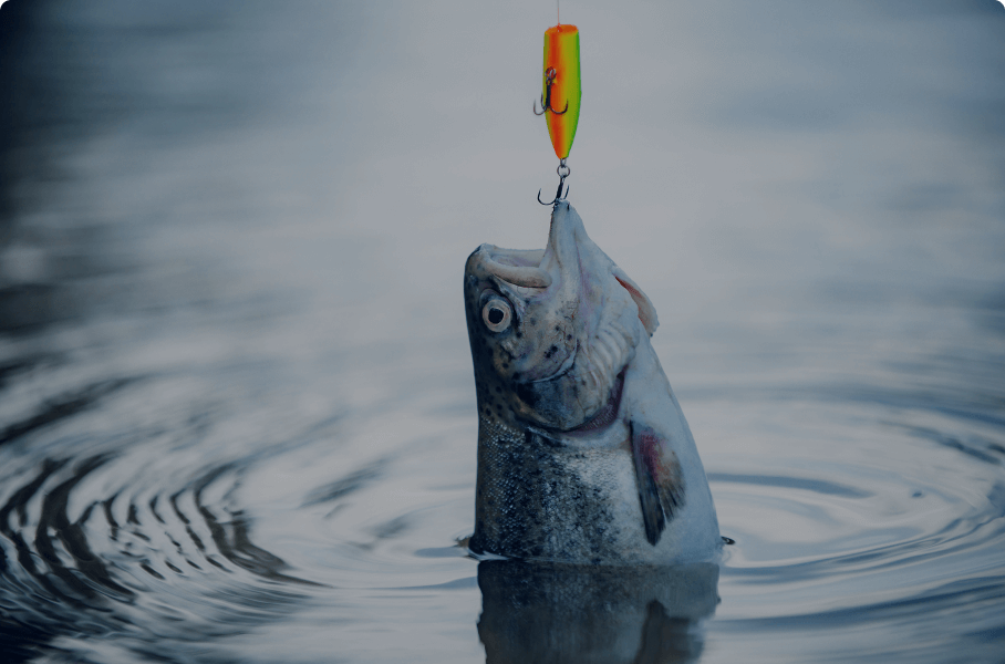 Fish hooked on bright fishing lure