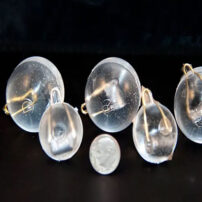 Transparent suction cups with metal hooks and dime