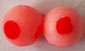 Shrimp Dot